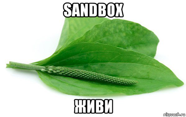 sandbox живи