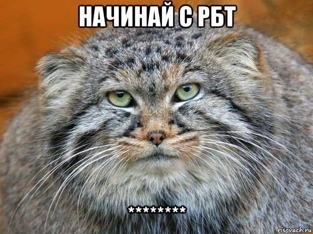 начинай с рбт ********