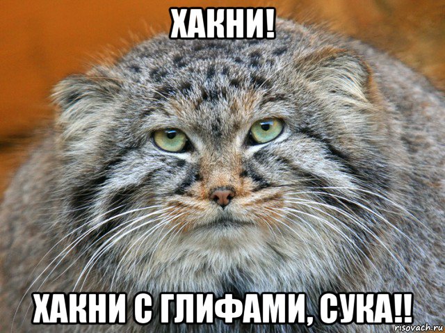 хакни! хакни с глифами, сука!!