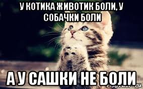 у котика животик боли, у собачки боли а у сашки не боли, Мем Покажи Сисечки