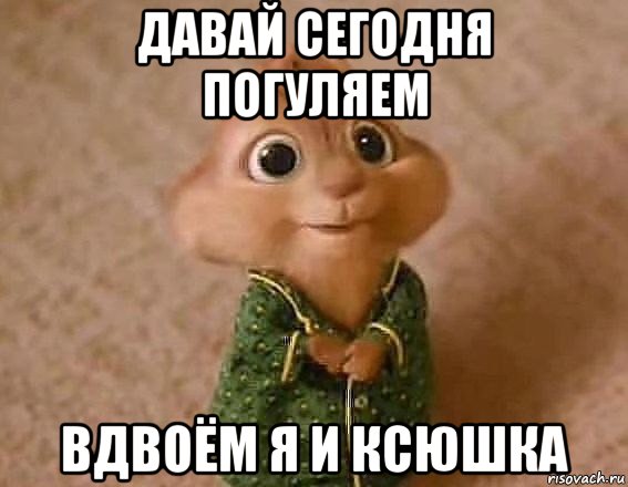 давай сегодня погуляем вдвоём я и ксюшка, Мем Примерно так выглядит Ксюня кото
