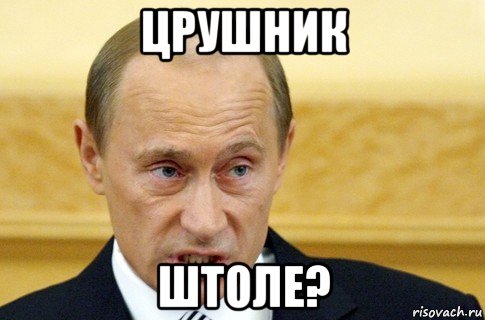 црушник штоле?, Мем путин