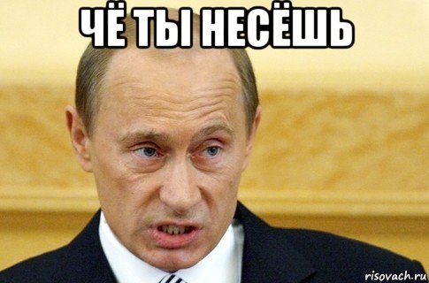 чё ты несёшь , Мем путин