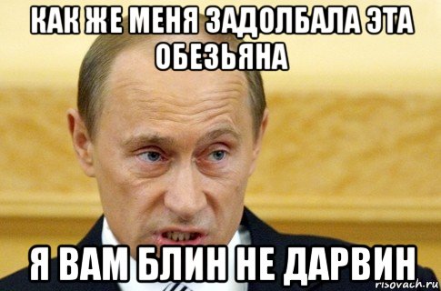 как же меня задолбала эта обезьяна я вам блин не дарвин, Мем путин