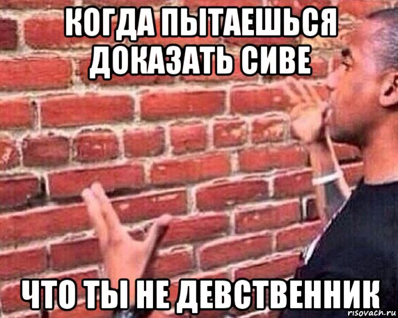 когда пытаешься доказать сиве что ты не девственник, Мем разговор со стеной