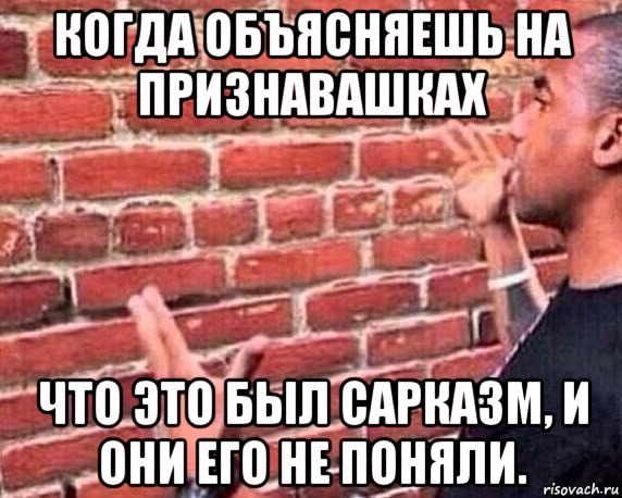 когда объясняешь на признавашках что это был сарказм, и они его не поняли.