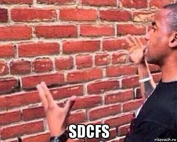  sdcfs