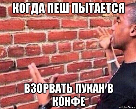 когда пеш пытается взорвать пукан в конфе, Мем разговор со стеной