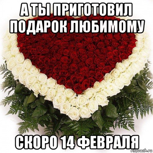 Ты приготовила подарок 100