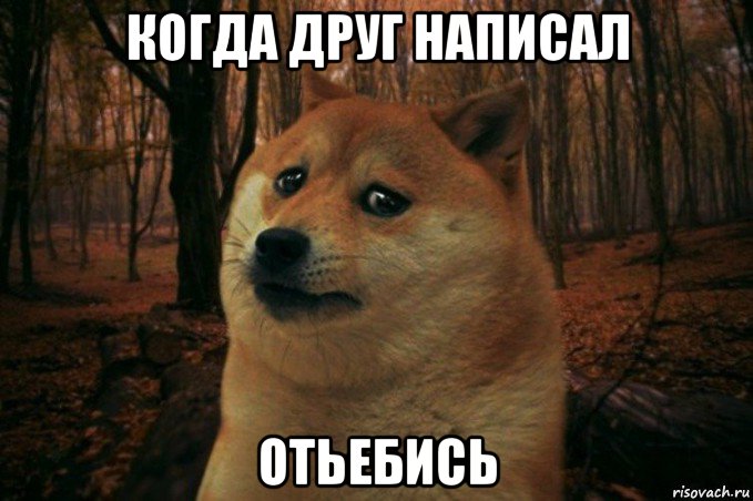 когда друг написал отьебись, Мем SAD DOGE