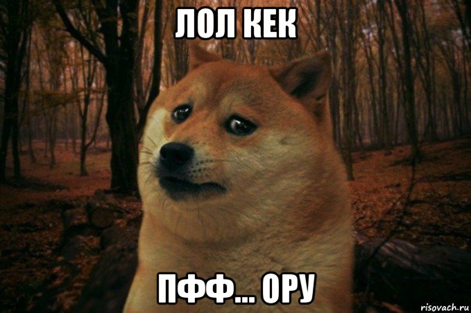 лол кек пфф... ору, Мем SAD DOGE