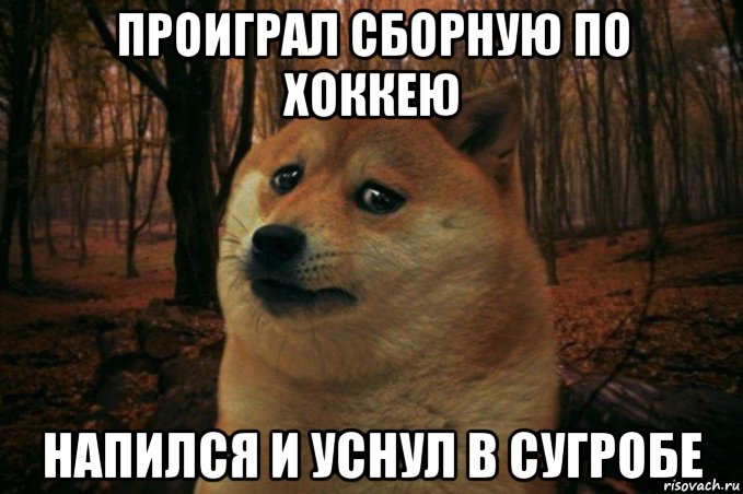 проиграл сборную по хоккею напился и уснул в сугробе, Мем SAD DOGE