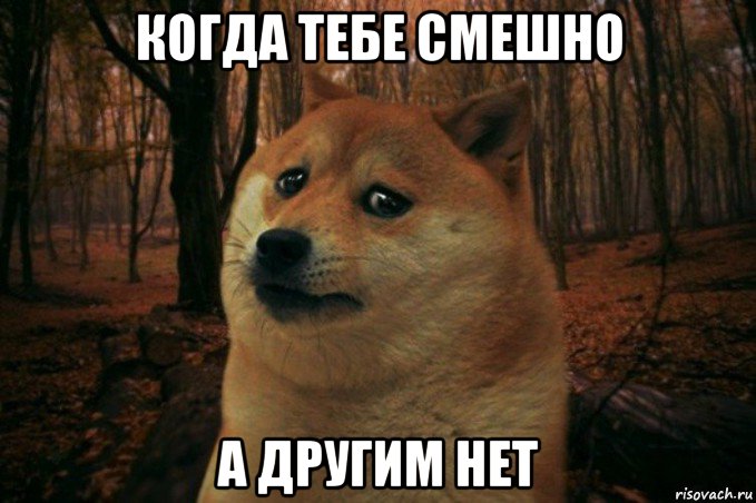 когда тебе смешно а другим нет, Мем SAD DOGE