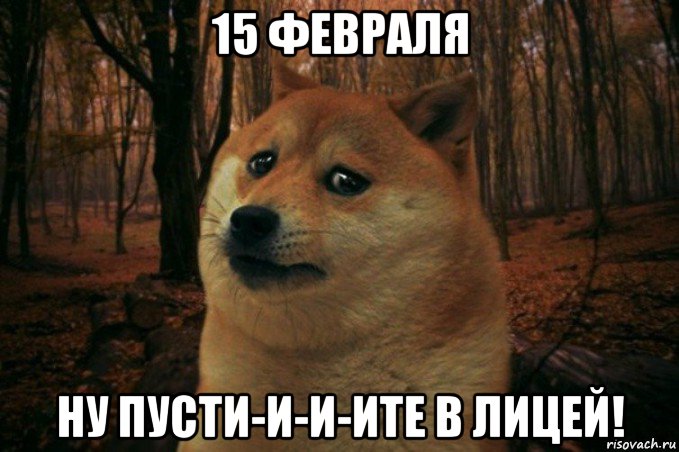 15 февраля ну пусти-и-и-ите в лицей!, Мем SAD DOGE