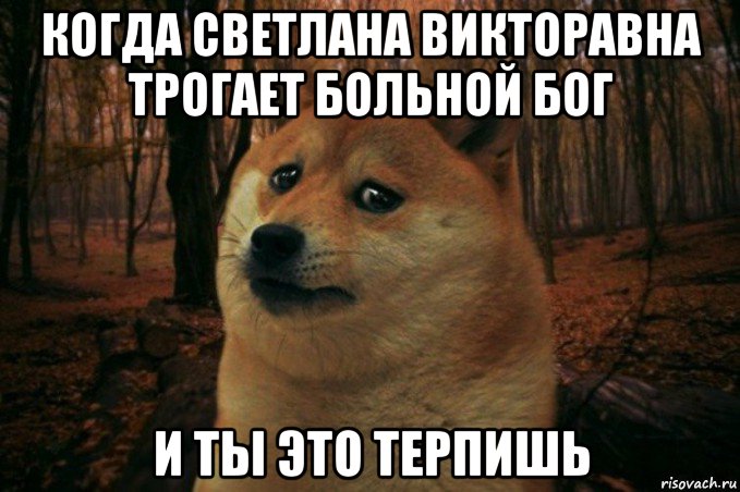 когда светлана викторавна трогает больной бог и ты это терпишь, Мем SAD DOGE