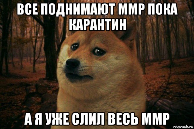 все поднимают ммр пока карантин а я уже слил весь ммр, Мем SAD DOGE