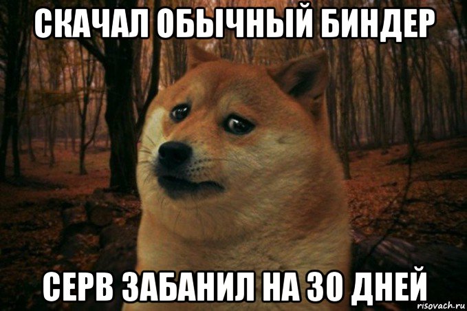 скачал обычный биндер серв забанил на 30 дней, Мем SAD DOGE