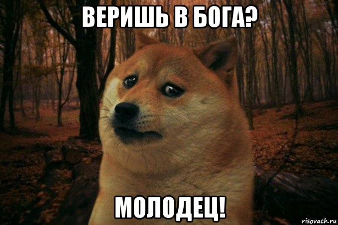 веришь в бога? молодец!, Мем SAD DOGE