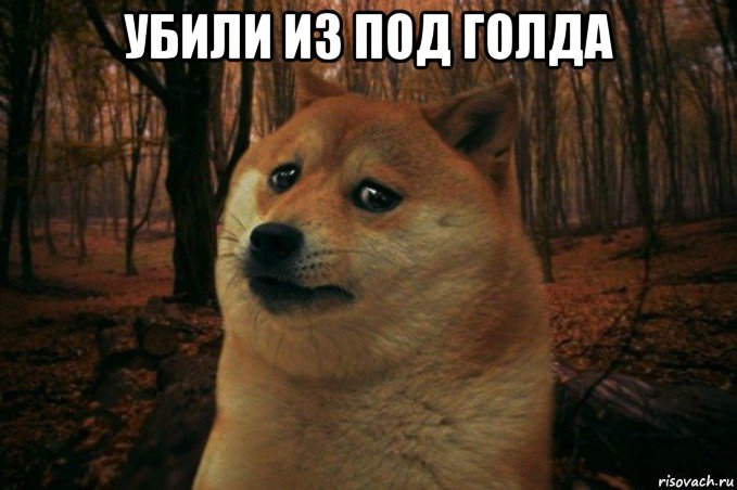 убили из под голда , Мем SAD DOGE