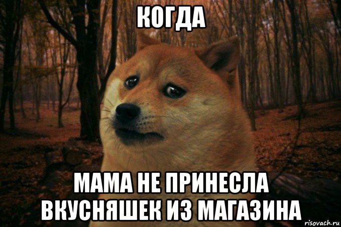 когда мама не принесла вкусняшек из магазина, Мем SAD DOGE