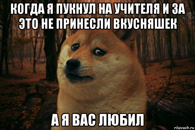 когда я пукнул на учителя и за это не принесли вкусняшек а я вас любил, Мем SAD DOGE