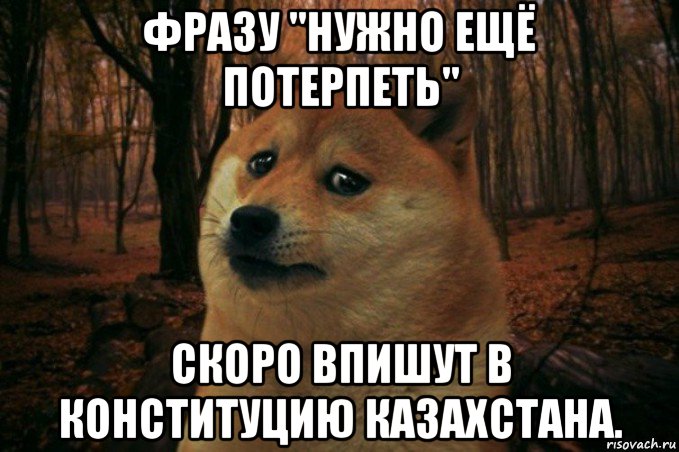 фразу "нужно ещё потерпеть" скоро впишут в конституцию казахстана., Мем SAD DOGE