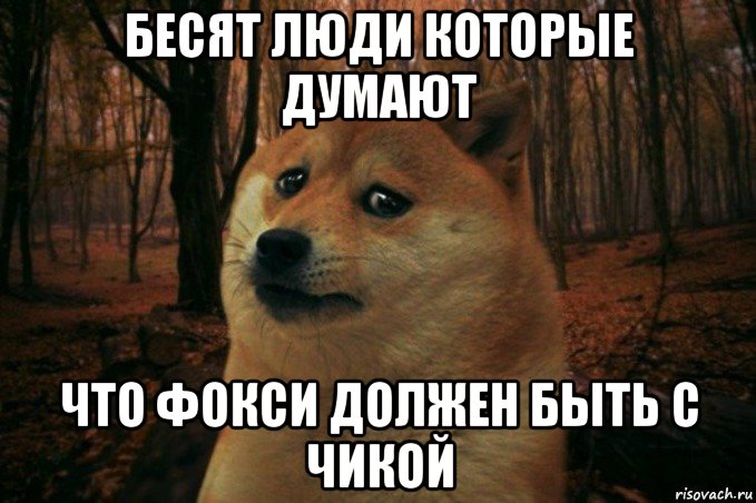 бесят люди которые думают что фокси должен быть с чикой, Мем SAD DOGE