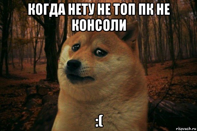 когда нету не топ пк не консоли :(, Мем SAD DOGE