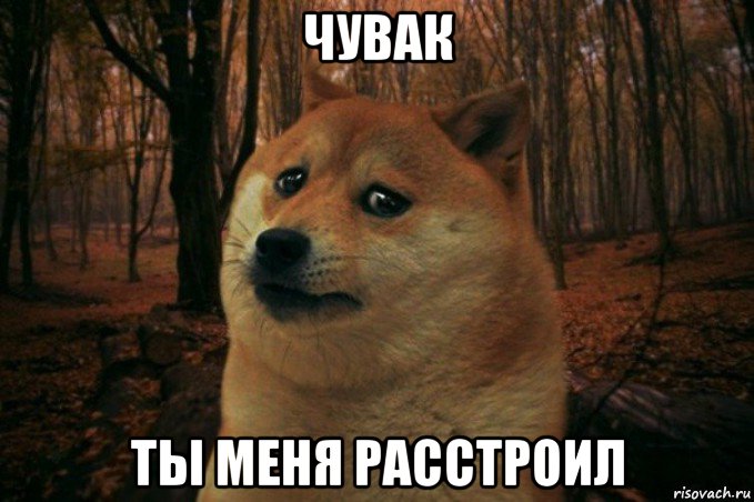 чувак ты меня расстроил, Мем SAD DOGE