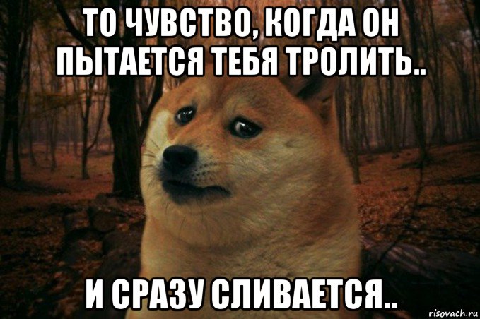 то чувство, когда он пытается тебя тролить.. и сразу сливается.., Мем SAD DOGE