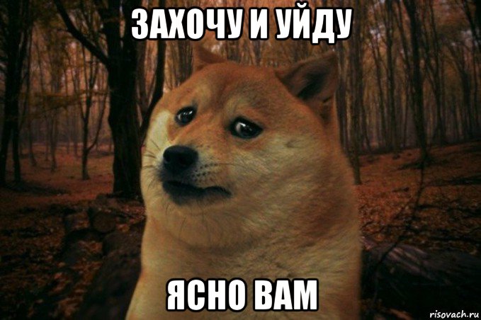 захочу и уйду ясно вам, Мем SAD DOGE