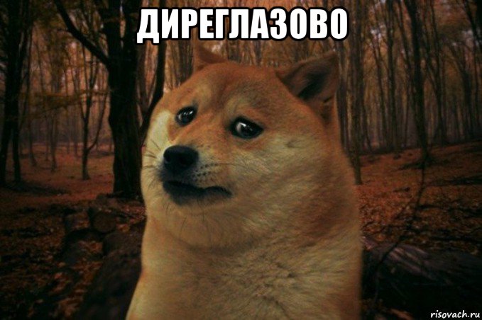 диреглазово , Мем SAD DOGE