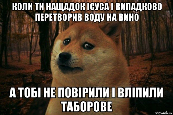 коли ти нащадок ісуса і випадково перетворив воду на вино а тобі не повірили і вліпили таборове, Мем SAD DOGE