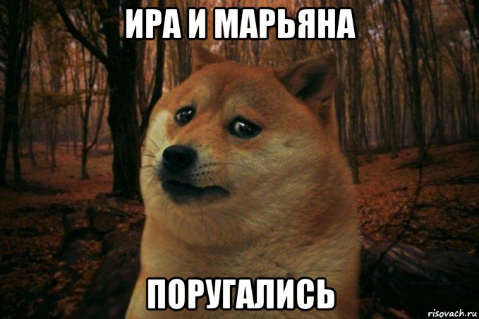 ира и марьяна поругались, Мем SAD DOGE