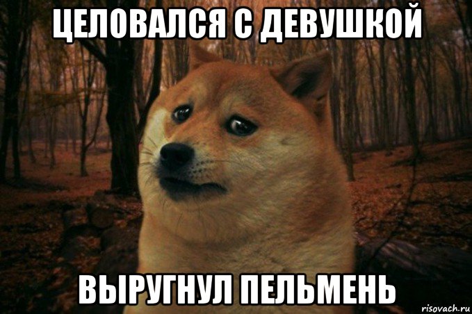 целовался с девушкой выругнул пельмень, Мем SAD DOGE