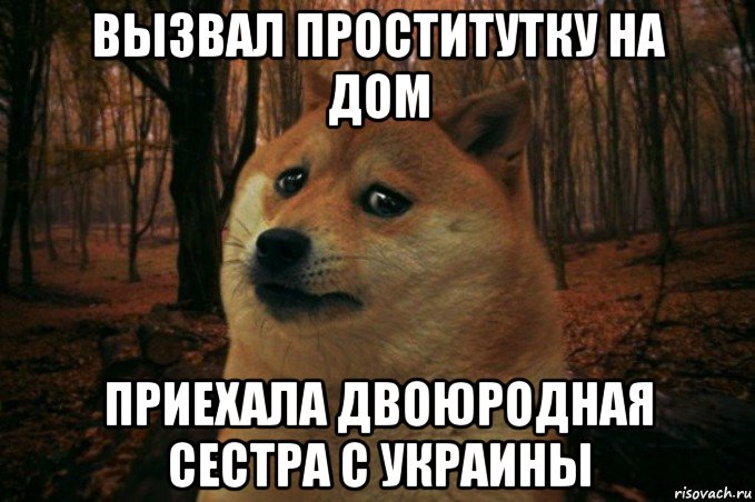 вызвал проститутку на дом приехала двоюродная сестра с украины, Мем SAD DOGE