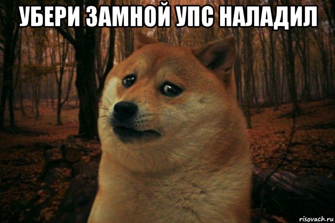 убери замной упс наладил , Мем SAD DOGE