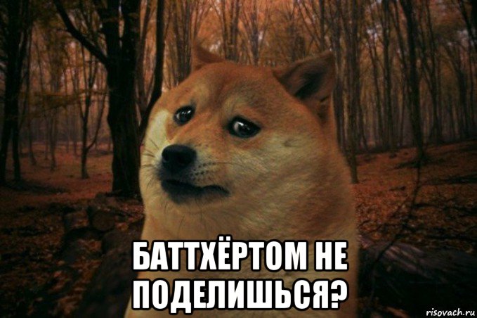  баттхёртом не поделишься?, Мем SAD DOGE