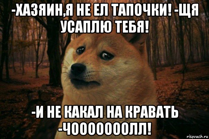 -хазяин,я не ел тапочки! -щя усаплю тебя! -и не какал на кравать -чооооооолл!, Мем SAD DOGE