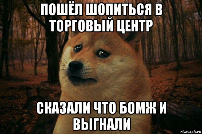 пошёл шопиться в торговый центр сказали что бомж и выгнали, Мем SAD DOGE