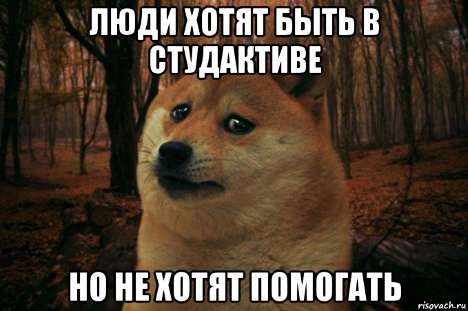 люди хотят быть в студактиве но не хотят помогать, Мем SAD DOGE