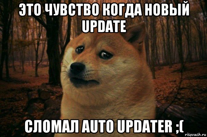 это чувство когда новый update сломал auto updater ;(, Мем SAD DOGE