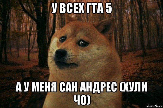 у всех гта 5 а у меня сан андрес (хули чо), Мем SAD DOGE