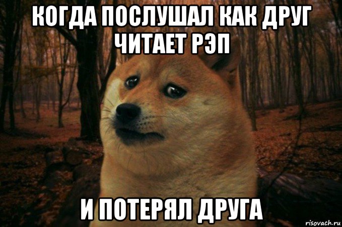 когда послушал как друг читает рэп и потерял друга, Мем SAD DOGE