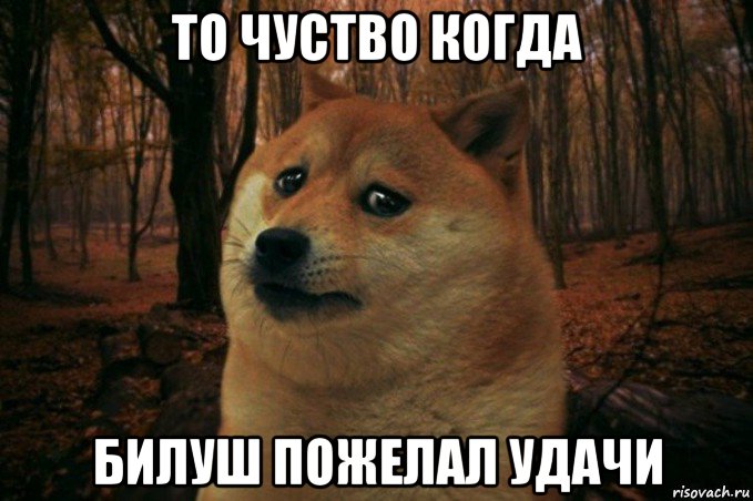 то чуство когда билуш пожелал удачи, Мем SAD DOGE