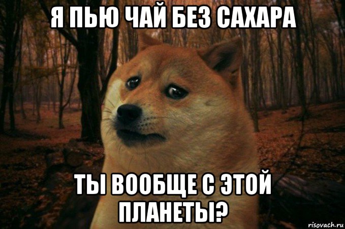 я пью чай без сахара ты вообще с этой планеты?, Мем SAD DOGE