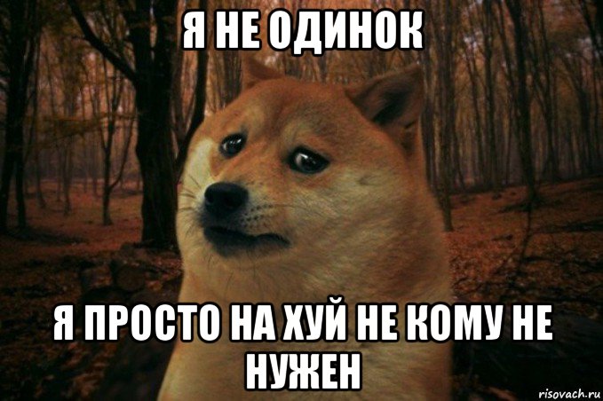 я не одинок я просто на хуй не кому не нужен, Мем SAD DOGE