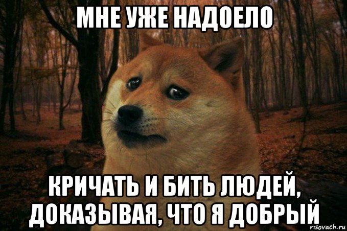 мне уже надоело кричать и бить людей, доказывая, что я добрый, Мем SAD DOGE