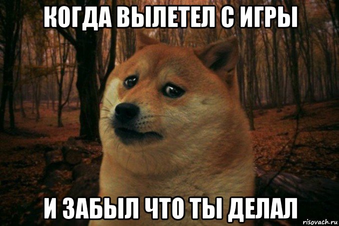 когда вылетел с игры и забыл что ты делал, Мем SAD DOGE