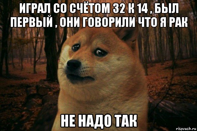 играл со счётом 32 к 14 , был первый , они говорили что я рак не надо так, Мем SAD DOGE